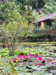 Green Valley Homestay - Thung Lũng Xanh - 1