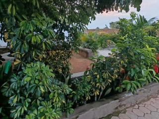 PEKU Berry's Arena - 1