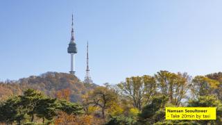 Min's Home No2 동대문DDP 도보5분 '공간 전체 이용' 명동 광화문 홍대 광장시장 한남동 성수 - 7