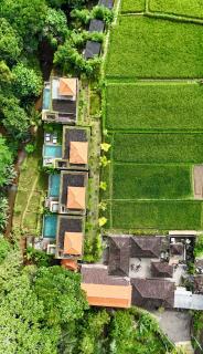 Karang Dukuh Villa, Ubud - 6