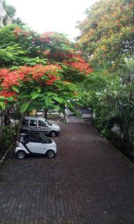 Hotel Angela Carolina - Coatepec - 4