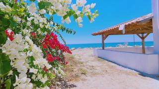 STAY Sea Gem Apartment - 9