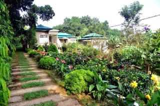 Tea Heaven Eco Cottage - 9