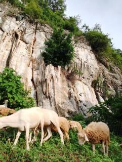 Bekbek's Village - 6