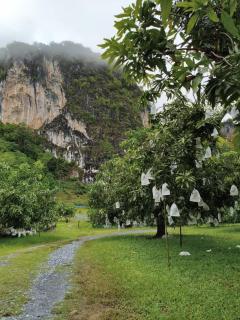 Bekbek's Village - 3