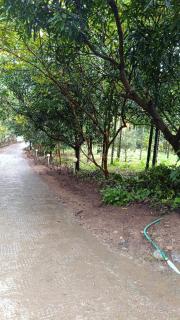 De Ayryz Resorts - 2