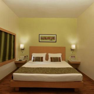 Hotel Holy - 8