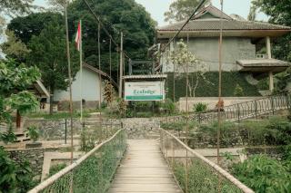 Ecolodge Bukit Lawang - 9