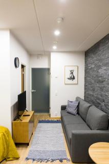 Levin Orion Apartments Visit Levi - 1