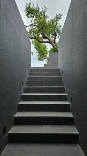 inchantreemeedao - 1