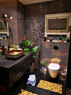 Fully furnished villa in stone park, 5th settlement, New Cairo - Il Cairo - 3
