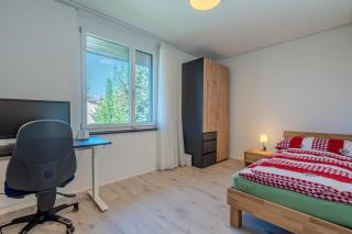 Entire House, Terrace, Garden, BBQ, 3 TVs - Zurich Region - 1