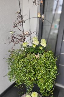 Luxury Appartement Marz, Europa Park- Rulantica - 8