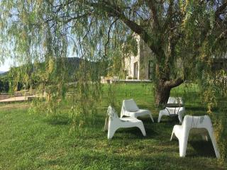 Corbezzolo - Vallo della Lucania - 2