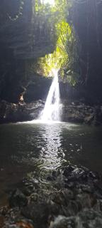Citra Homestay - 4