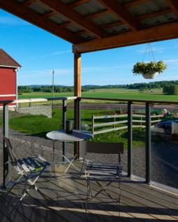 Backes Lillstuga - 7