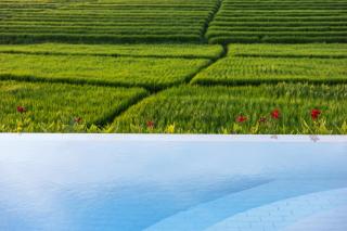 The R Villa Swantika - Infinity Pool Aussicht Canggu - 6