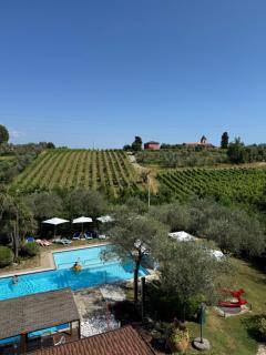 Sarzana Park Hotel - 4