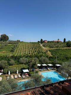 Sarzana Park Hotel - 3