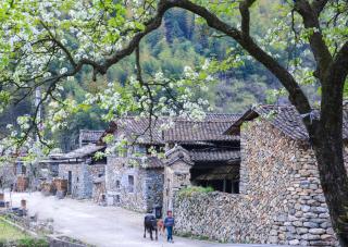 Lishui Manshanju Forest Retreat - 5