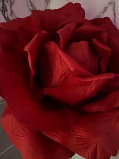 Love room Le Fifty - 7