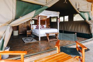 Oilepo Amboseli - 0