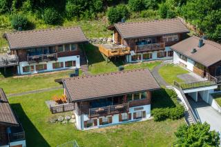 Schöneben Traumhütte - Wald im Pinzgau - 9