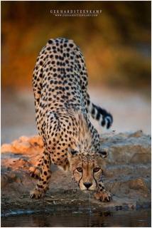 Issah tours and safari guide tz - Nkunjila - 6
