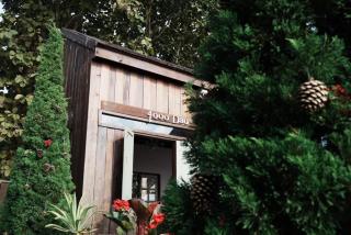4000Dao- A Hilltop Hideaway & Experience in Doi Tung - 7