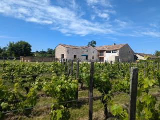 Vineyard Villa with Pool and Hot Tub - 0