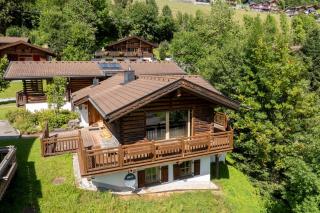 Schöneben Chalet Bergkristall - Wald im Pinzgau - 7