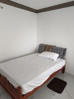 Papillon Paradise - 8