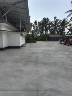 Papillon Paradise - 6