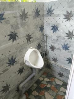 Papillon Paradise - 5