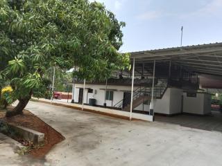 Papillon Paradise - 2