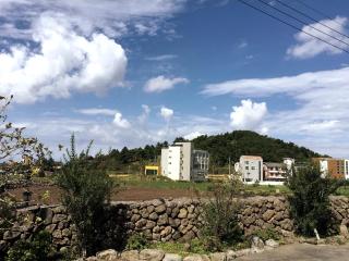 Oh Happy Day Jeju - 1