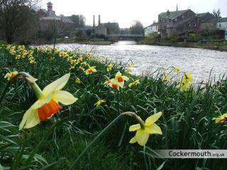 Studio No5, Cockermouth The Lakes - 9