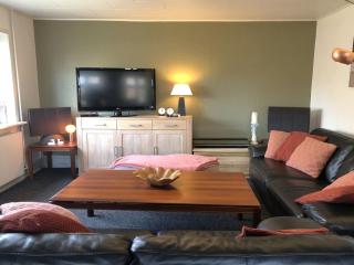 Holiday Home Evje - 250m from the sea by Interhome - 8