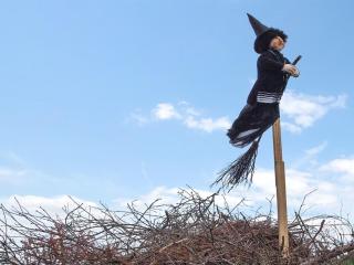 Holiday Home Enja - 150m from the sea by Interhome - 8