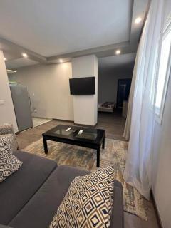 Smart & spacious studio Near everything Nasr city - 9