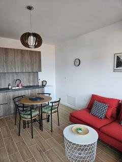 Luxury Apartments Danube - 5