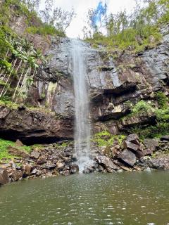 Lismore Hillside Home on Ballina Road - 1