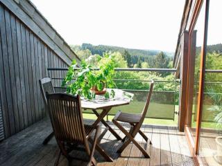 Large Home with Sauna, Ovifat - 4
