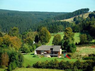 Large Home with Sauna, Ovifat - 3