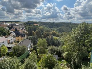 Fernblick - 7