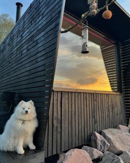 Dog friendly cabin & hot tub and Cairngorm views - 8