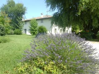Locanda del Toro - Calderara di Reno - 6