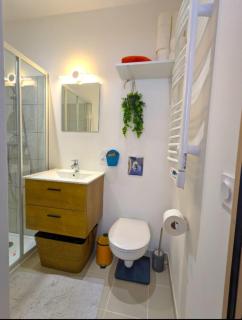 T2 bis moderne avec mezzanine calme hyper centre - Le Mans - 5