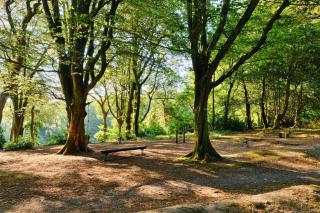 Finest Retreats - Joyful Cottage - 7