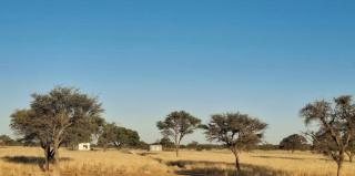 Duineveld Kalahari Camp - 1